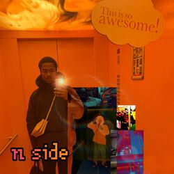 Cover of N Side
