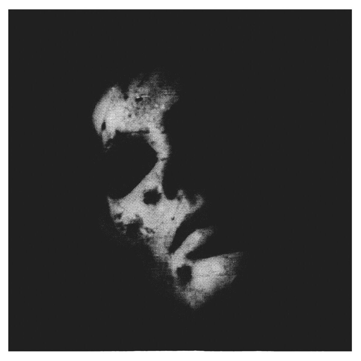 Album cover of Lavender