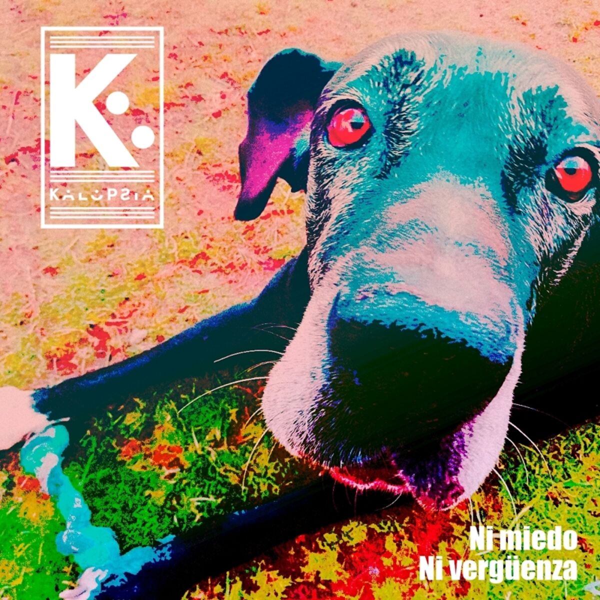 Album cover of Ni miedo ni vergüenza
