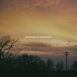 Cover of Something in the Orange