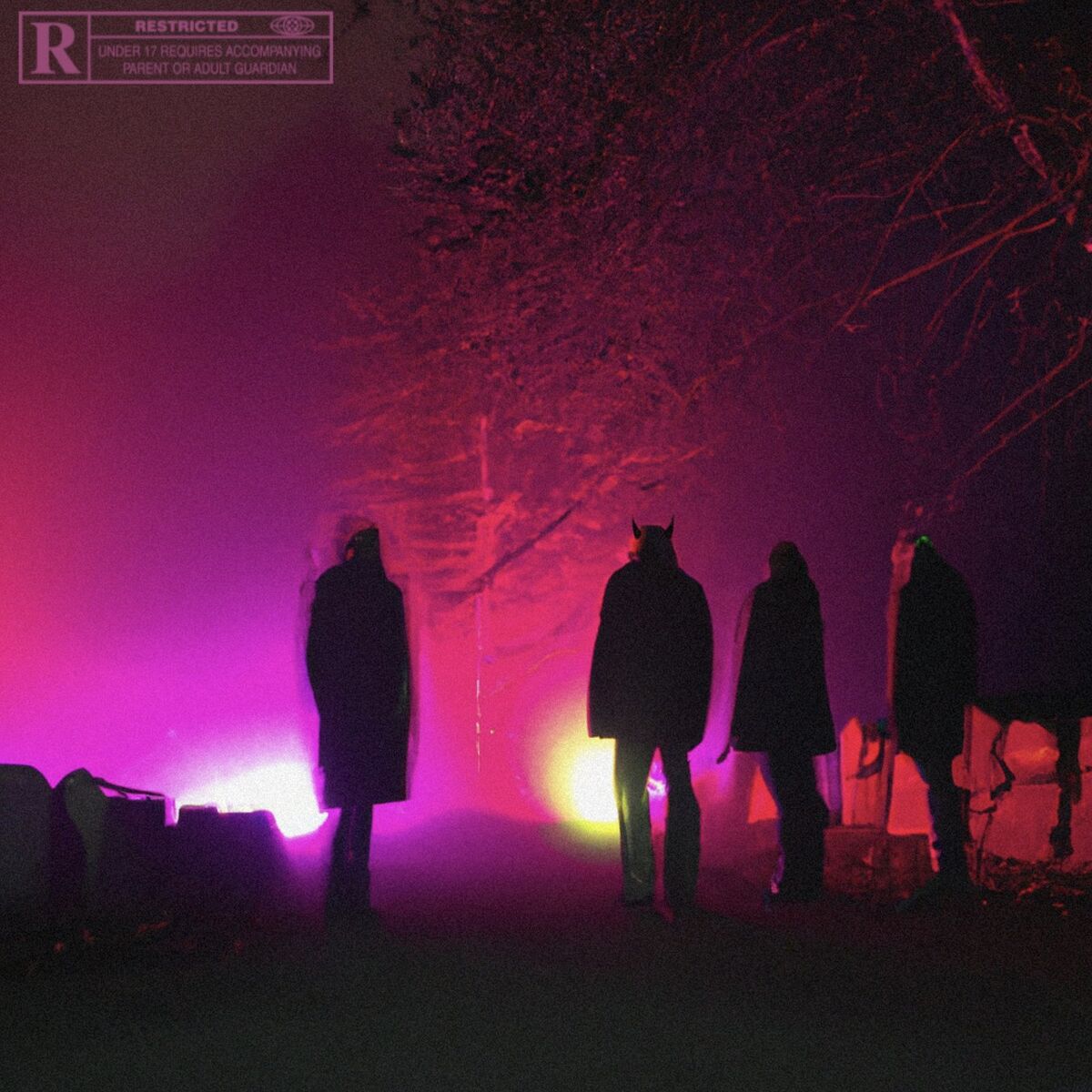 Album cover of Plus l'même