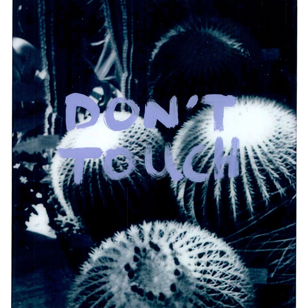 Picture of Don't Touch