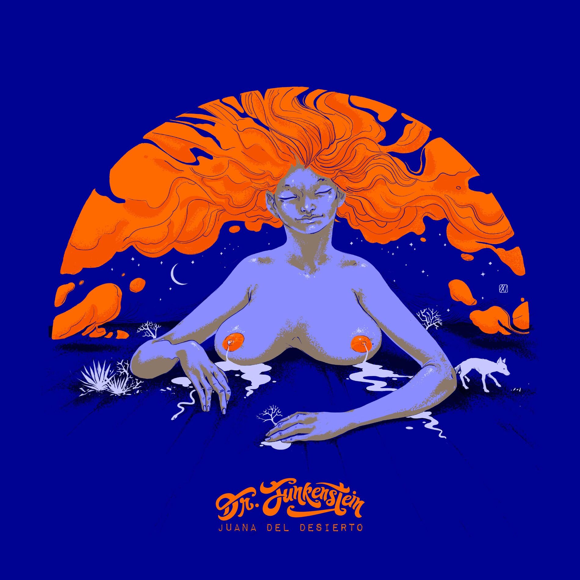 Album cover of Juana del desierto