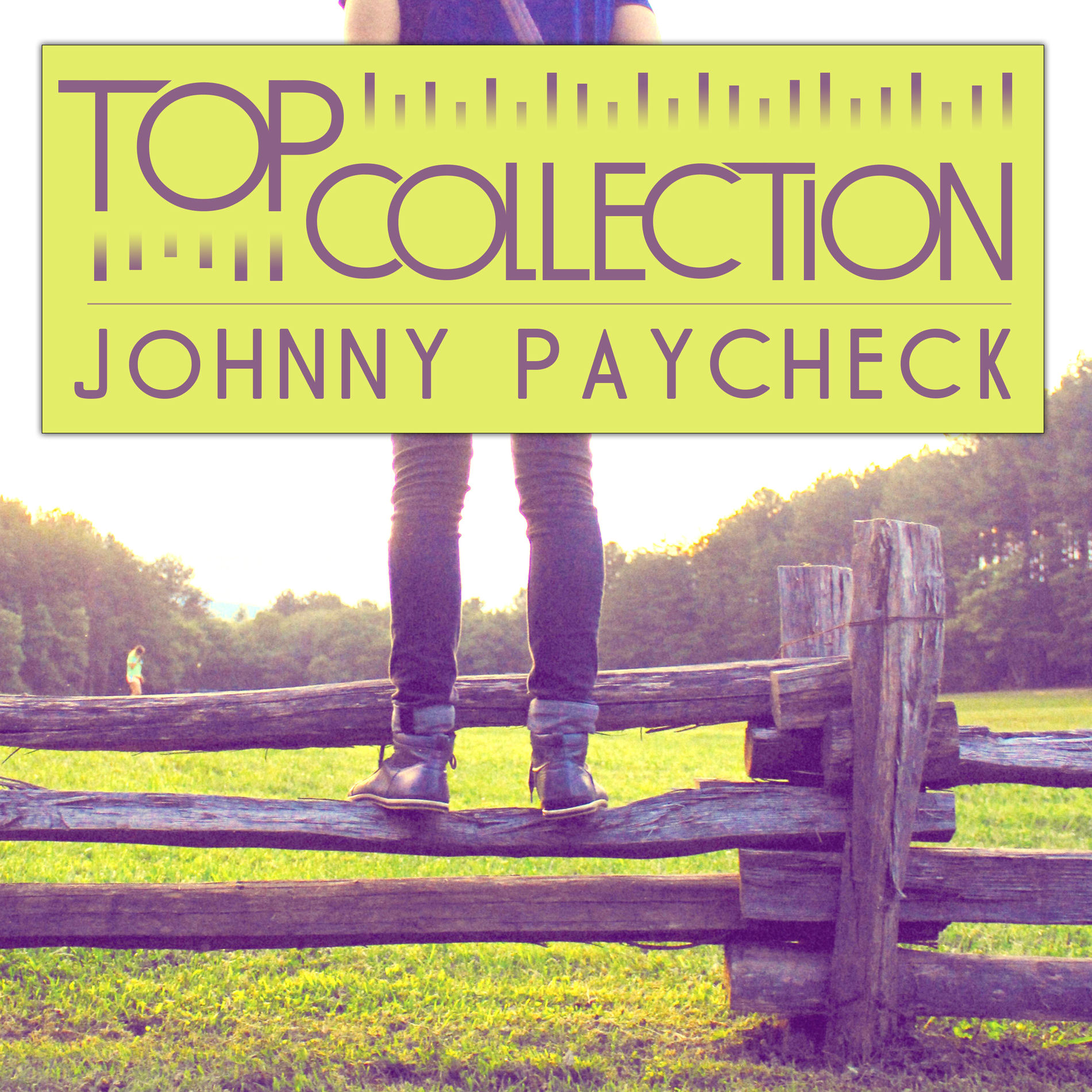Album cover of Johnny Paycheck - Top Collection: Johnny Paycheck