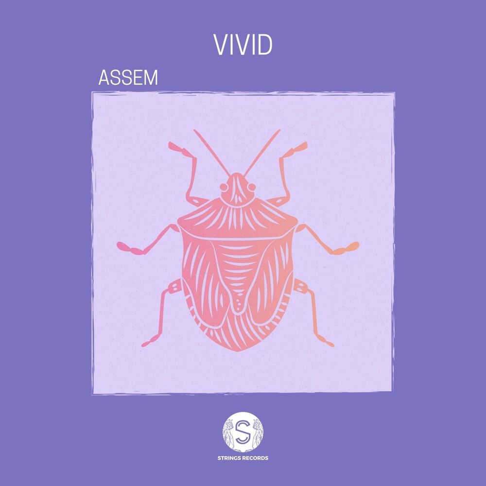 Picture of Vivid