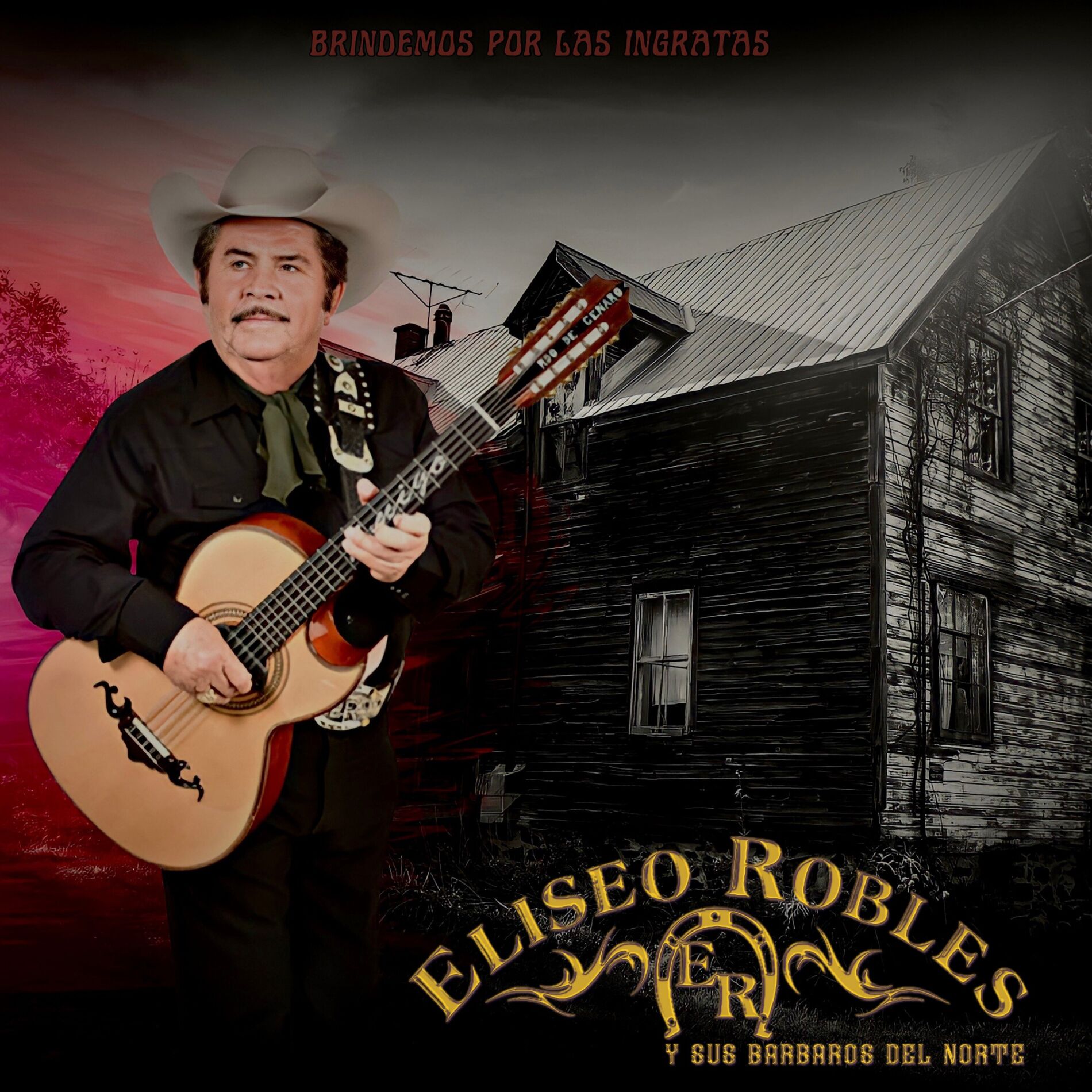 Album cover of Brindemos Por Las Ingratas