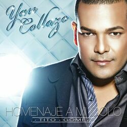 Cover of Homenaje A Mi Idolo