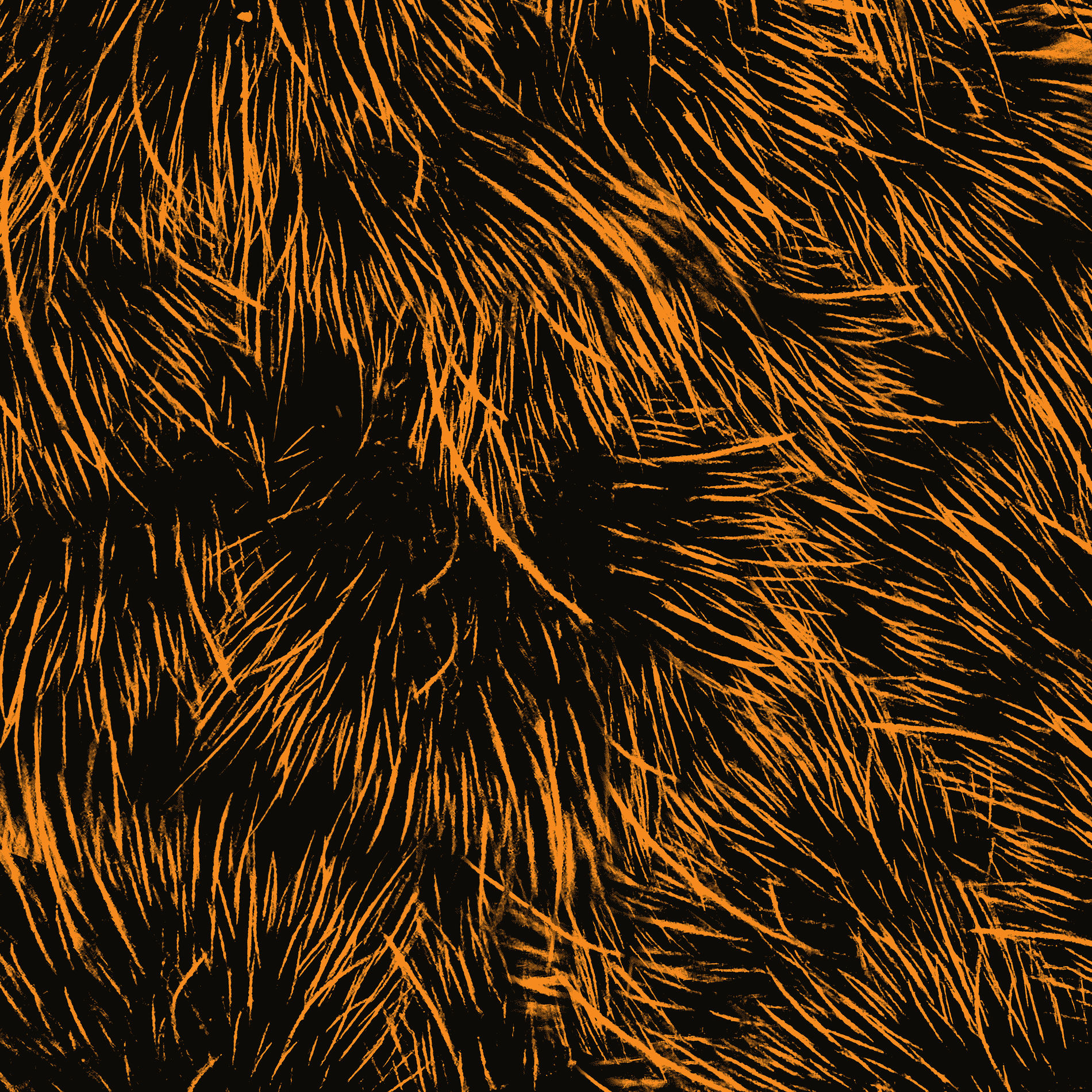 Album cover of Hope You're Well