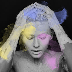 Cover of Transform