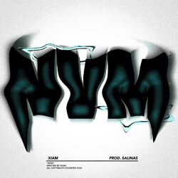 Cover of NVM