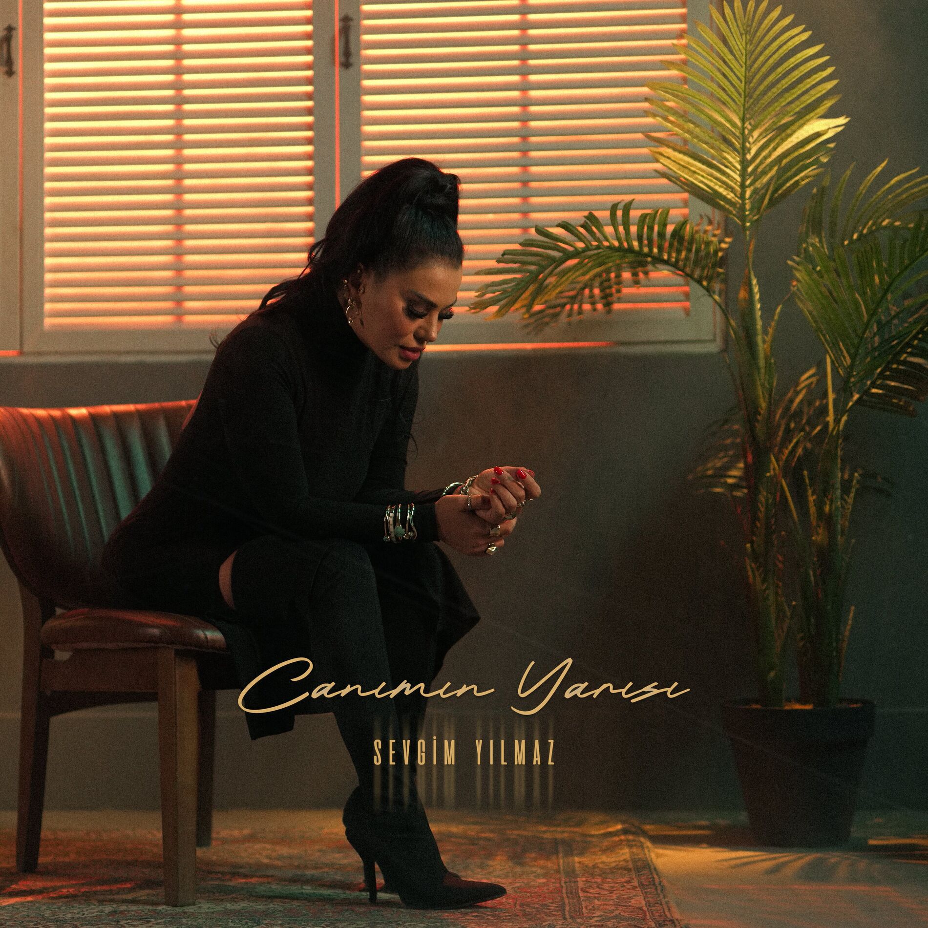 Album cover of Canımın Yarısı