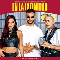 Cover of En La Intimidad | CROSSOVER #1