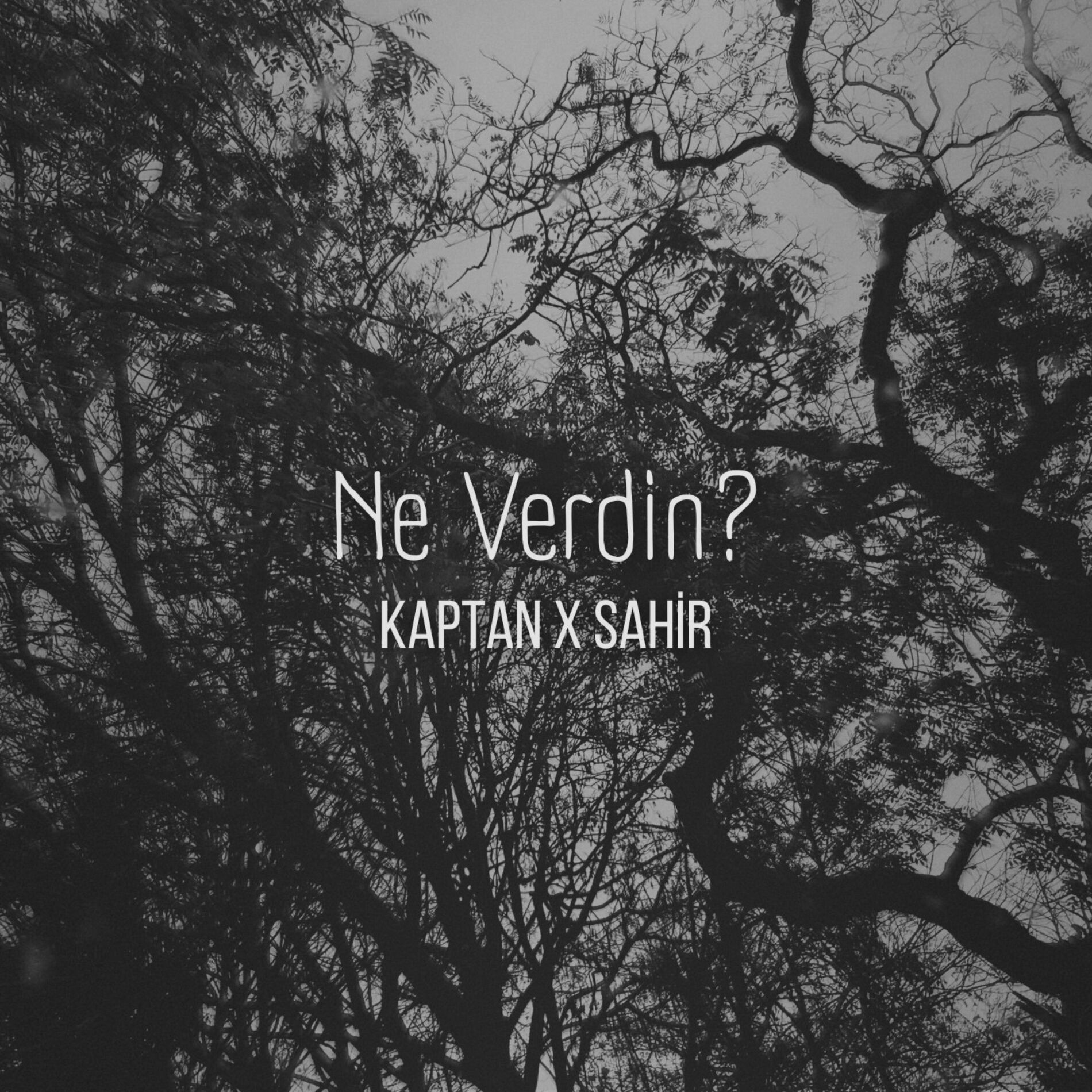 Album cover of Ne Verdin? (feat. Sahir)