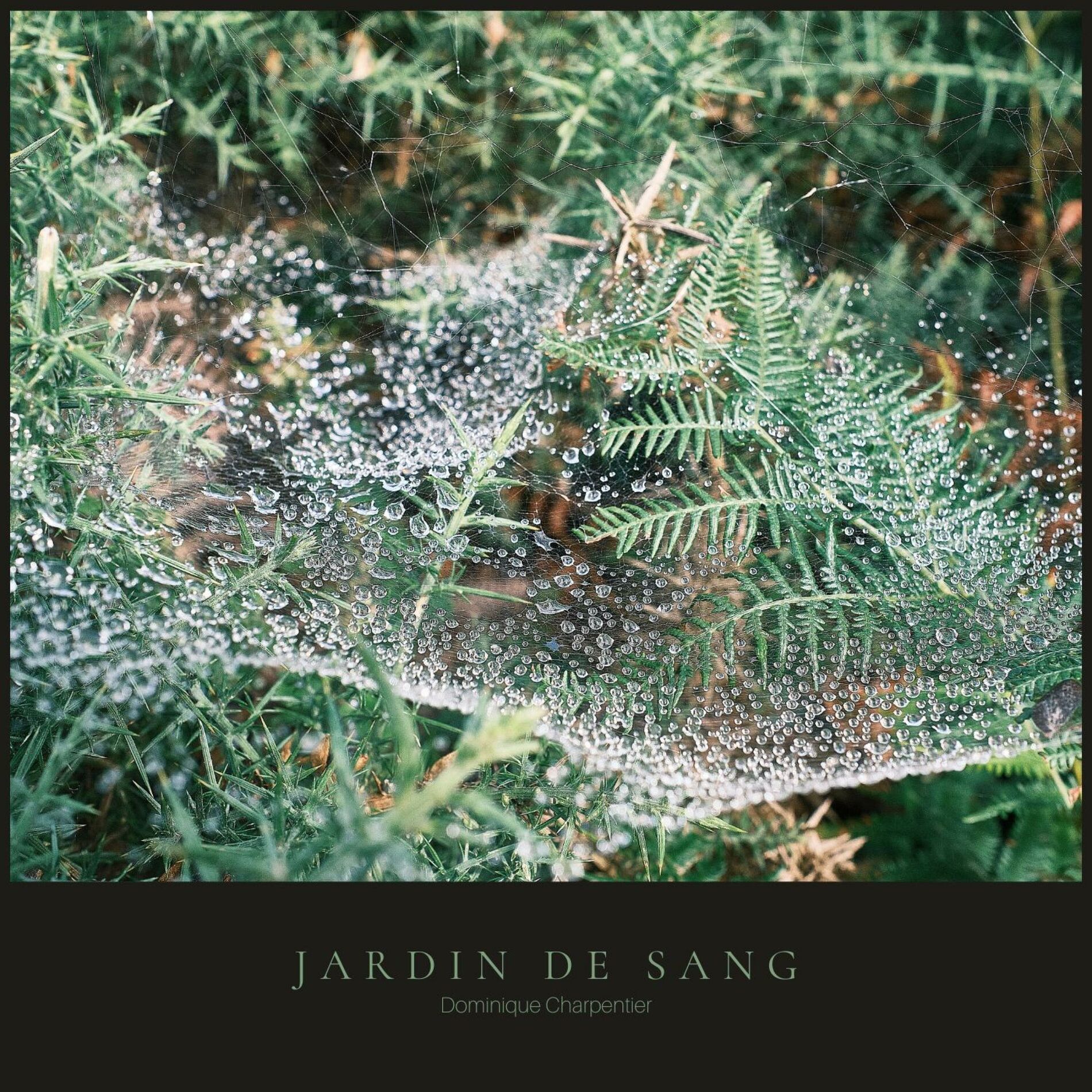 Album cover of Jardin de sang