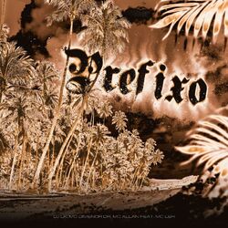 Cover of Prefixo 011