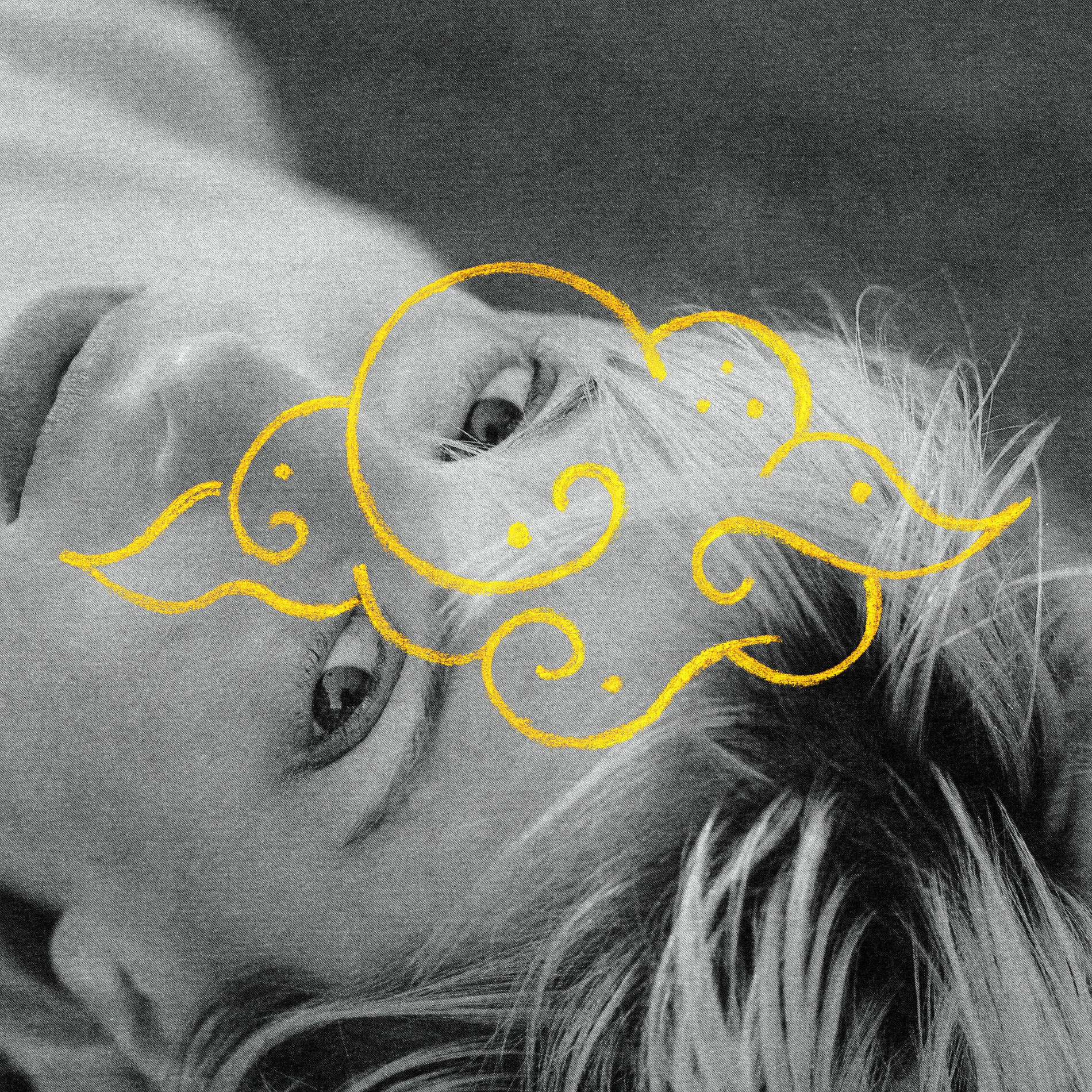 Album cover of Whim
