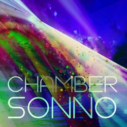 Cover of Sonno