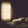 Losing You