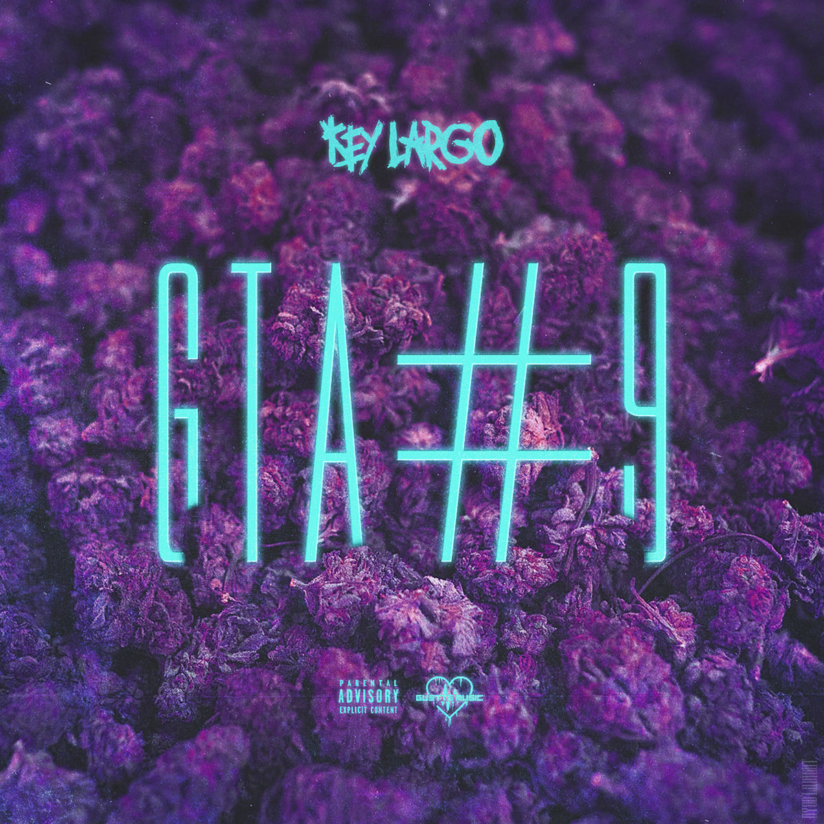 Album cover of GTA #9