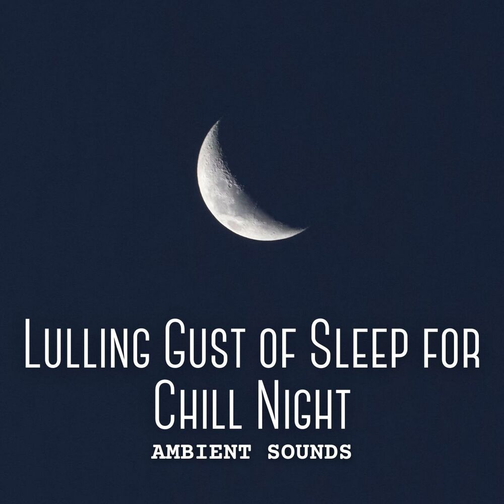 Picture of Ambient Sounds: Lulling Gust of Sleep for Chill Night