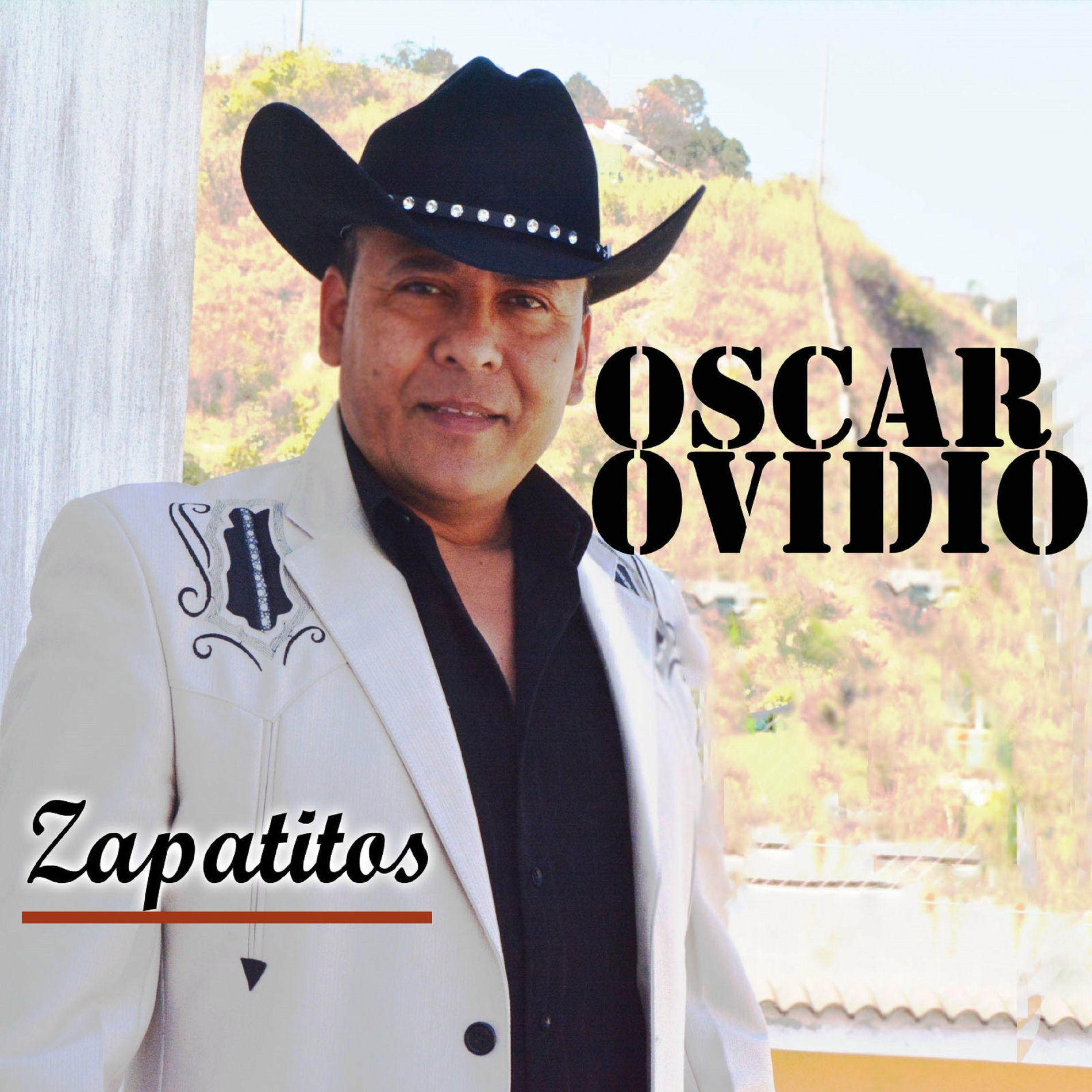 Album cover of Zapatitos