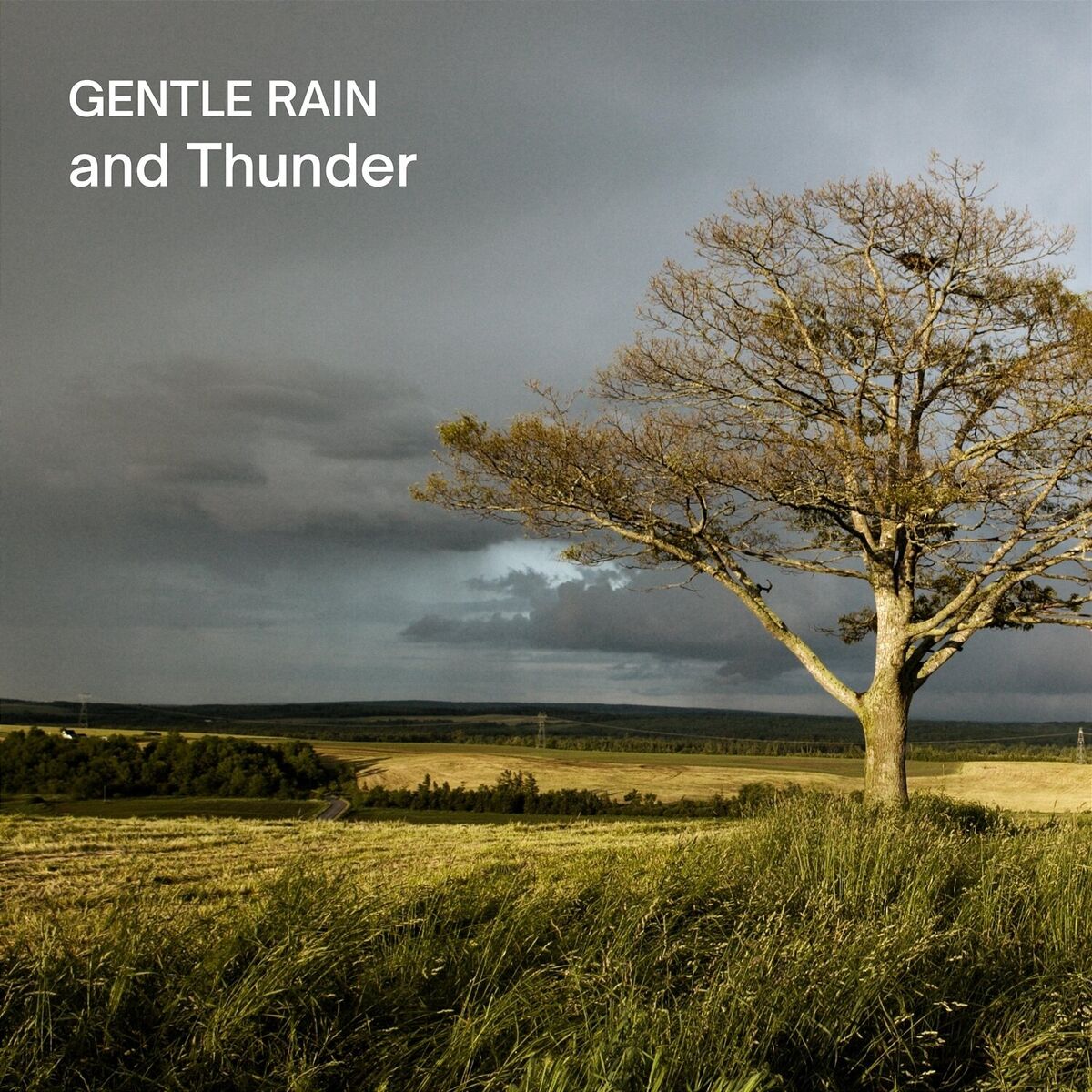 Album cover of Gentle Rain and Thunder
