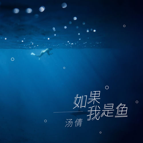 如果我是鱼
