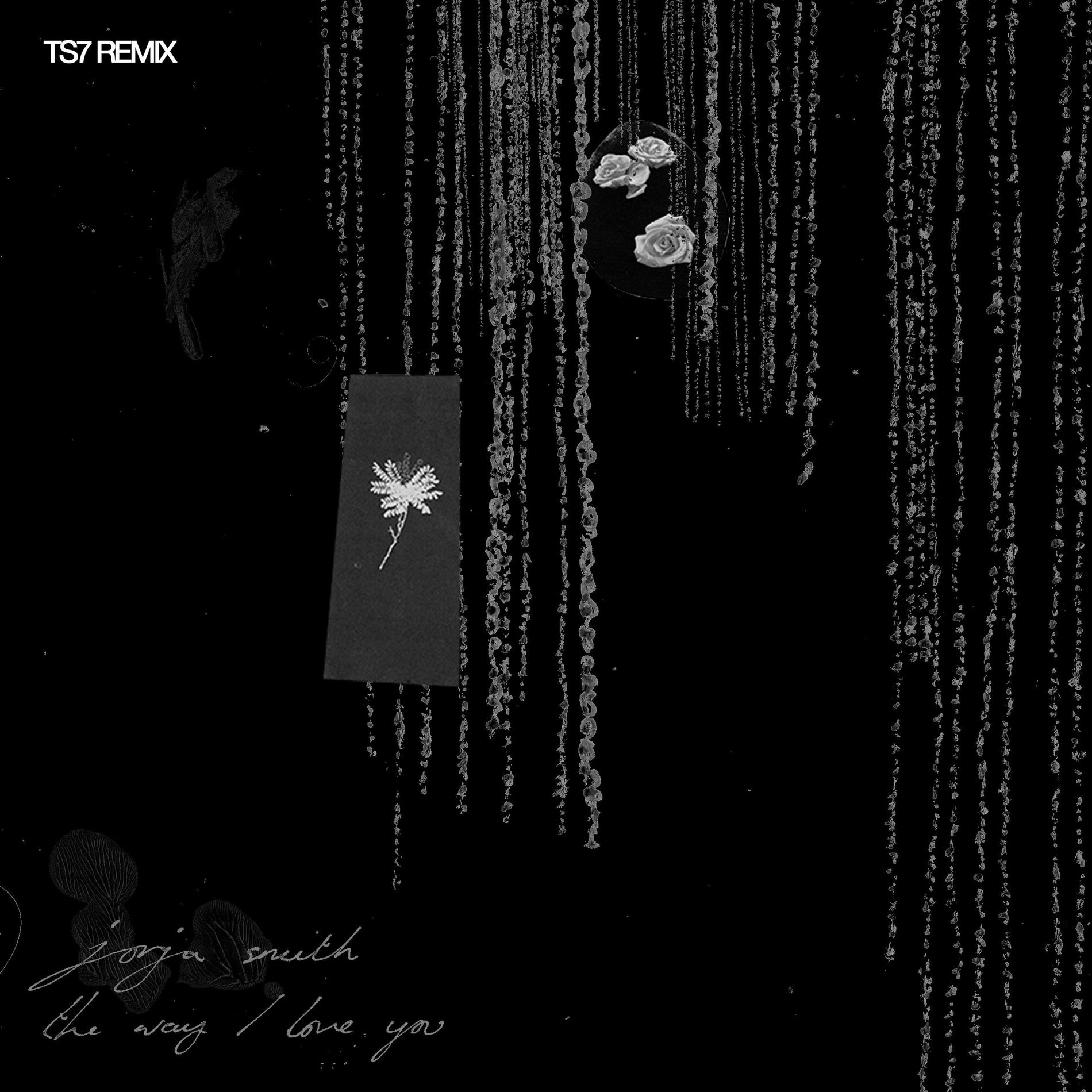 Album cover of The Way I Love You (TS7 Remix)