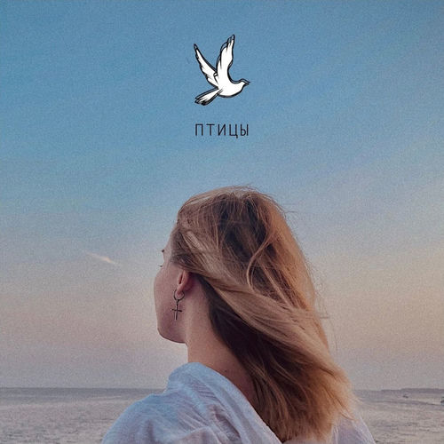 Птицы