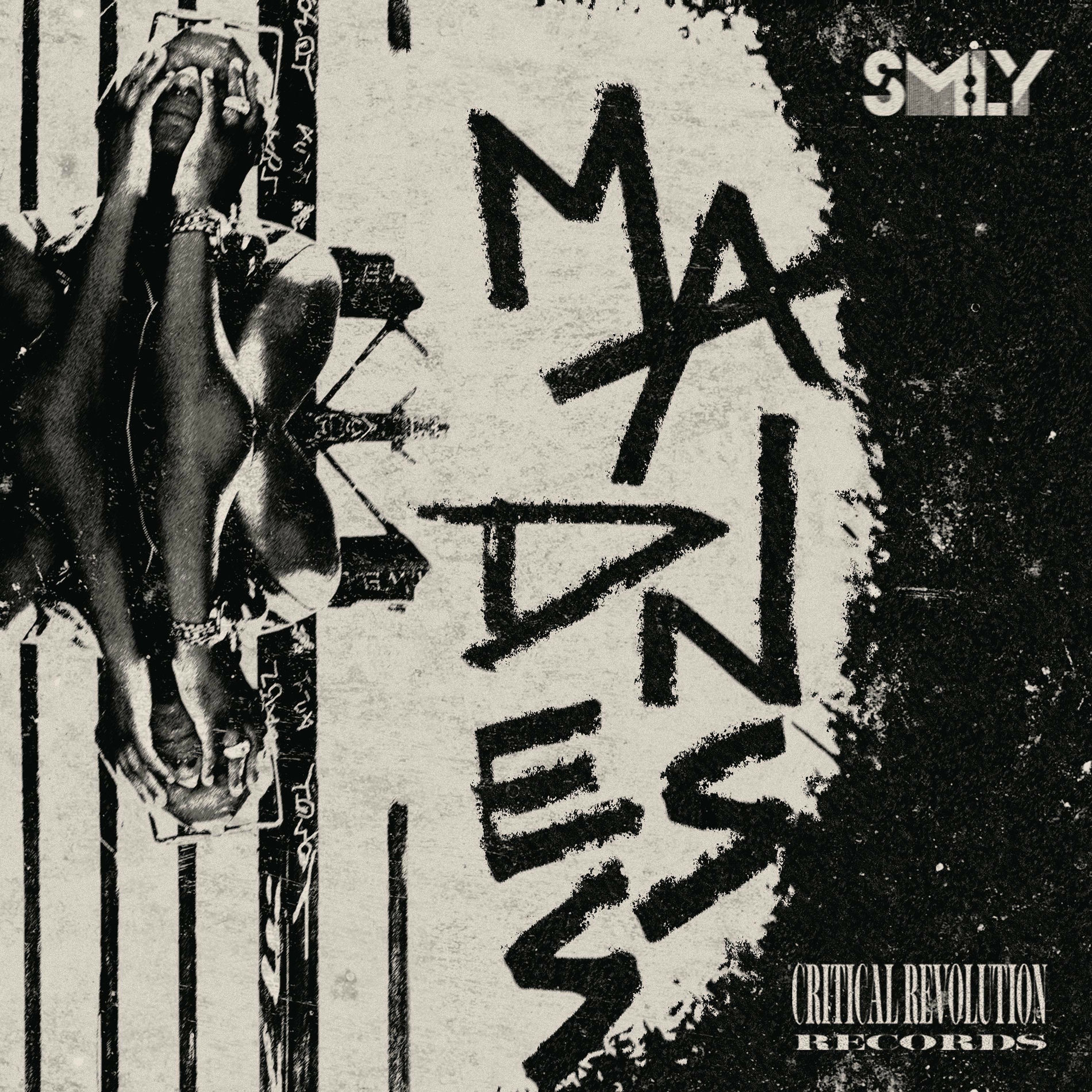 Album cover of Madness