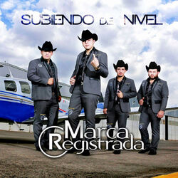 Cover of Subiendo De Nivel