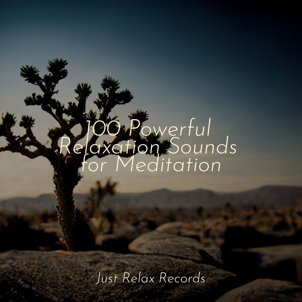 Picture of 100 Powerful Relaxation Sounds for Meditation