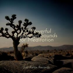 Cover of 100 Powerful Relaxation Sounds for Meditation