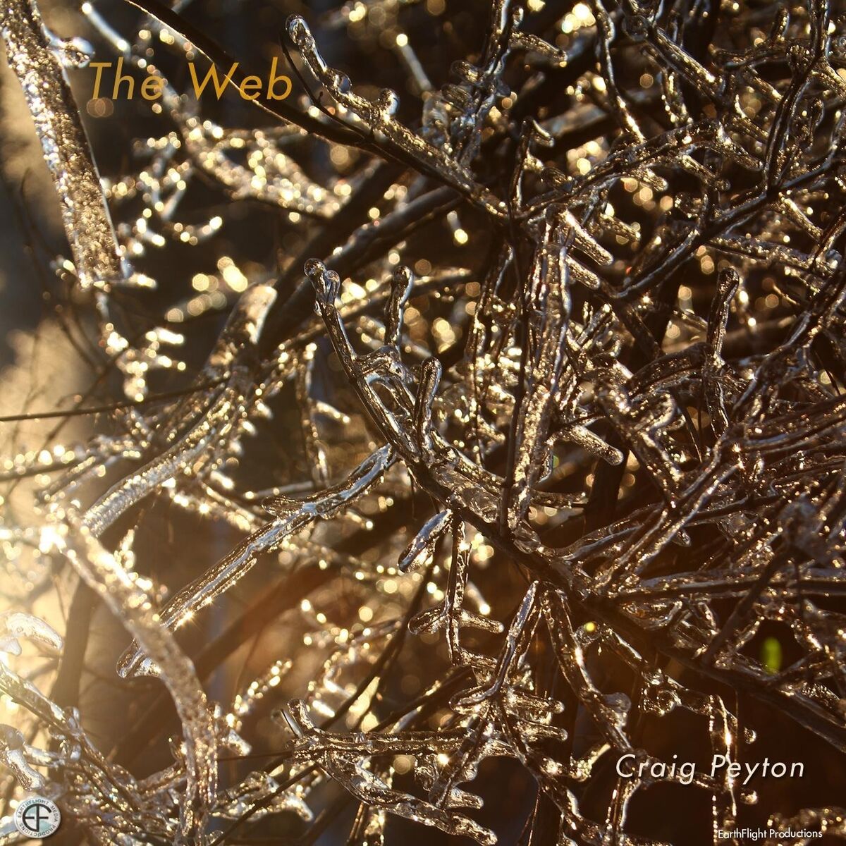 Album cover of The Web