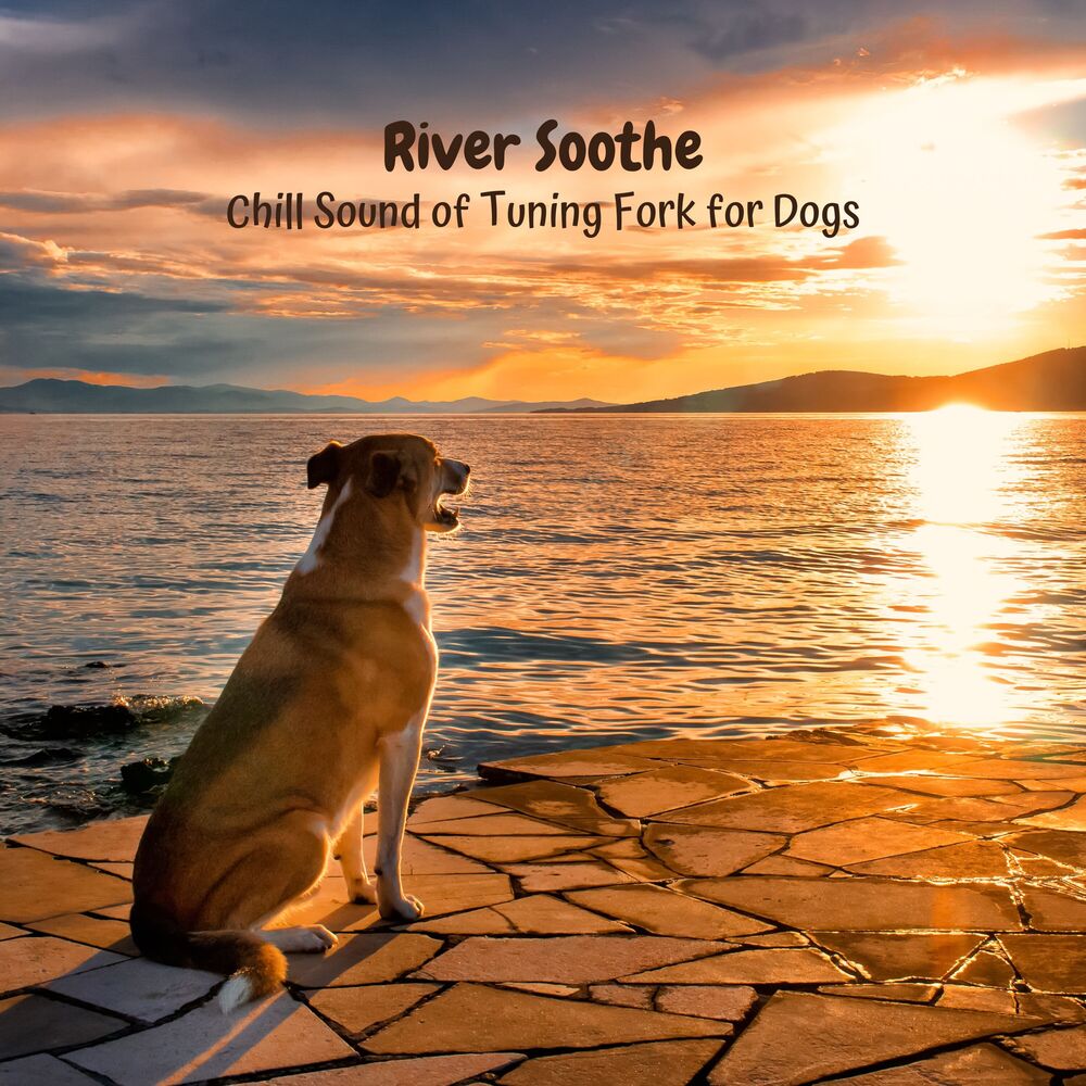 Picture of River Soothe: Chill Sound of Tuning Fork for Dogs