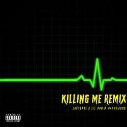Cover of Killing Me