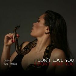 Cover of I Don't Love You