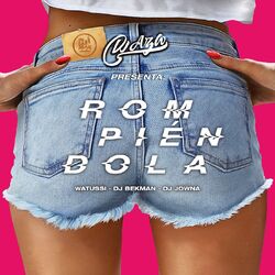 Cover of Rompiéndola