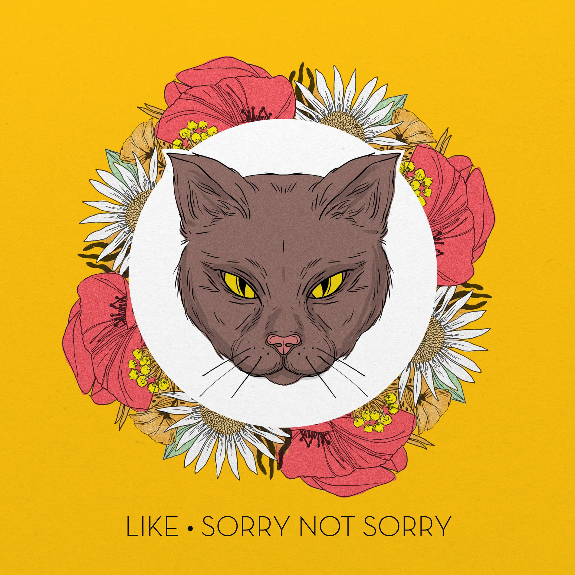 Album cover of Sorry Not Sorry