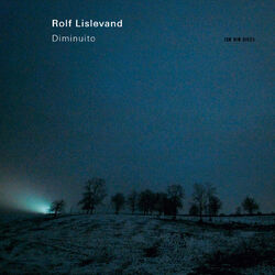 Cover of Diminuito