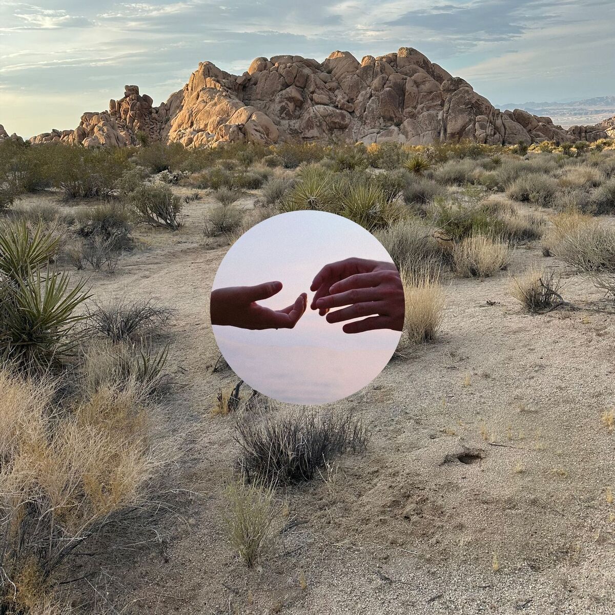 Album cover of monarque