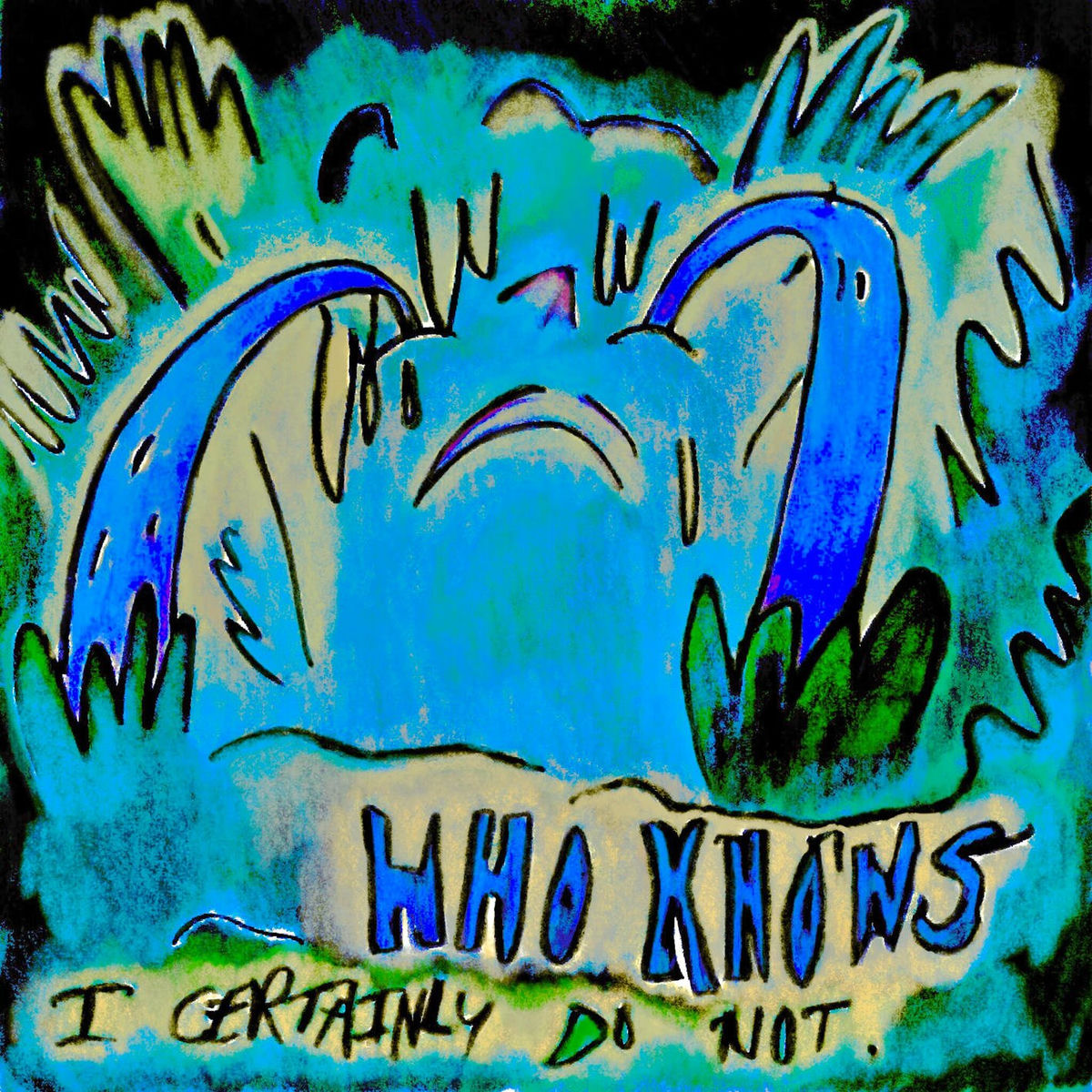 Album cover of Who Knows