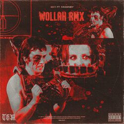 Cover of WOLLAH (Rmx)