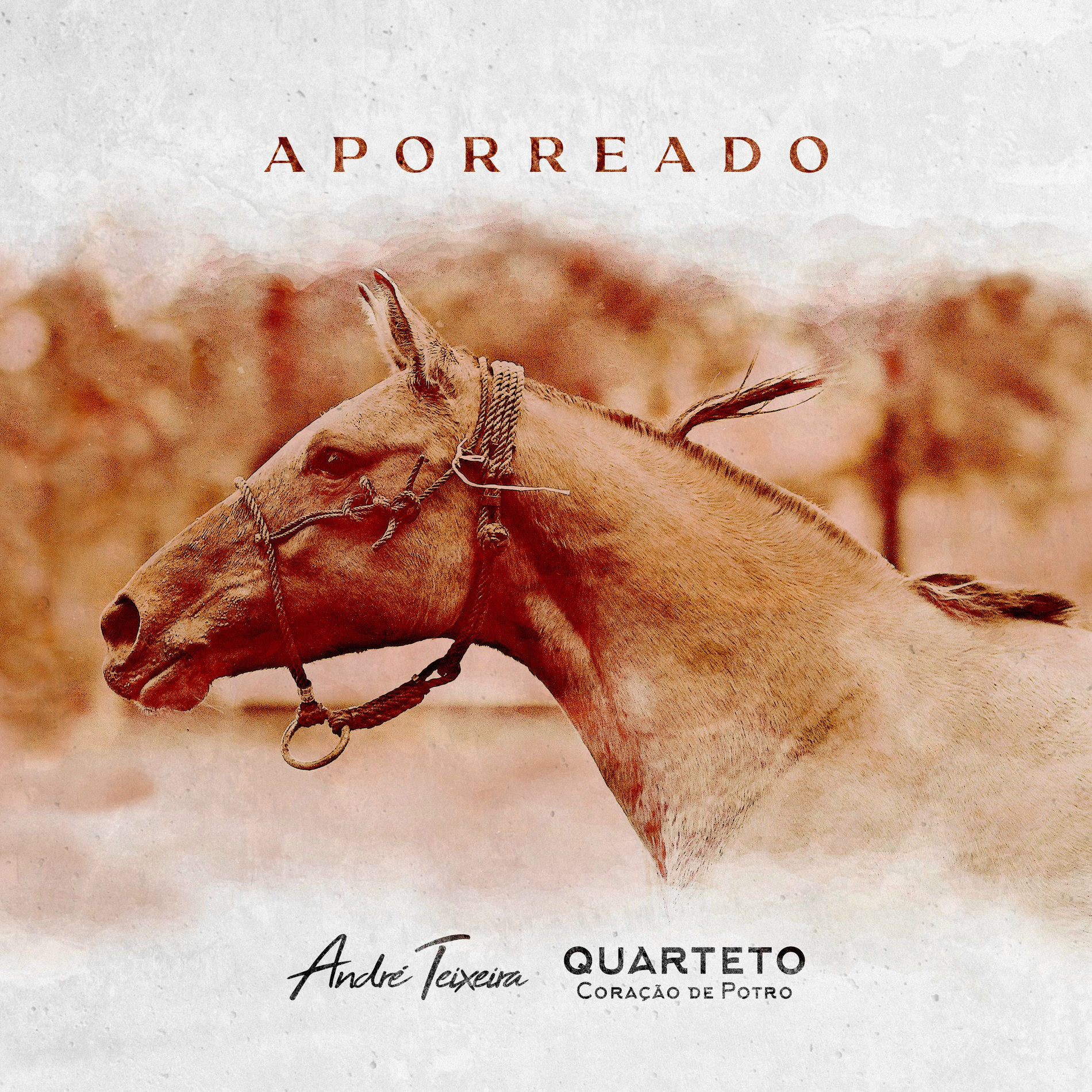 Album cover of Aporreado