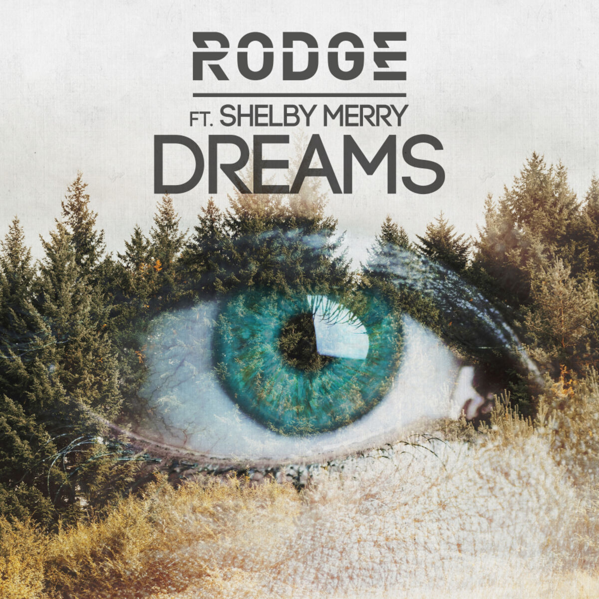 Album cover of Dreams