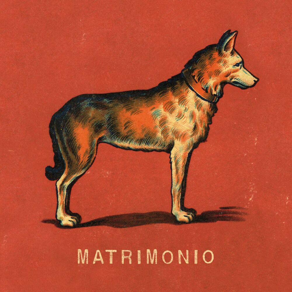 Picture of Matrimonio