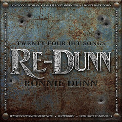 Cover of Re-Dunn