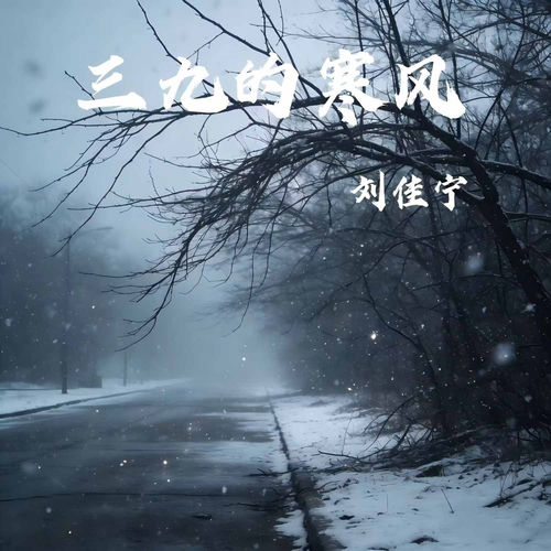 三九的寒风