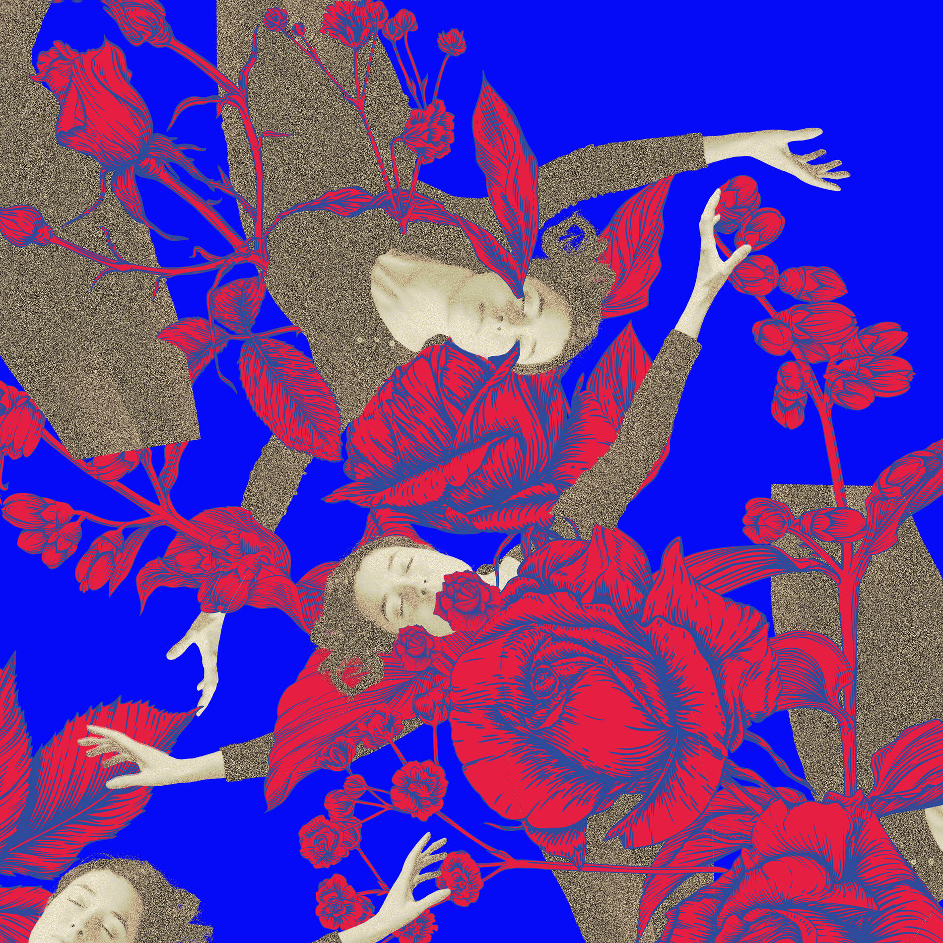 Album cover of Wild Roses