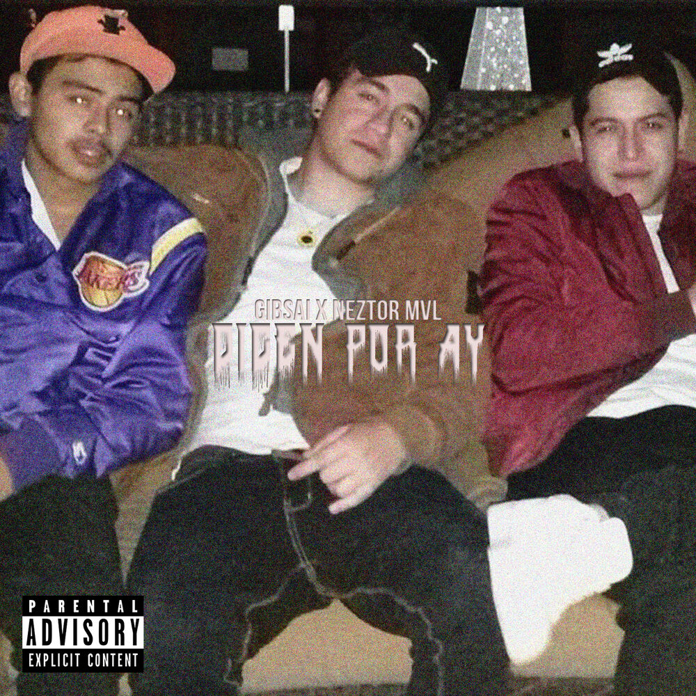 Picture of Dicen por Ay